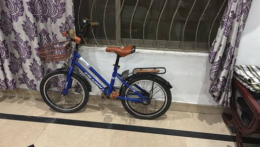 Kids Bicycle, Slightly used, 10/10 condition