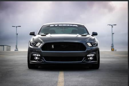 Professional Executive Driver for Company or Family