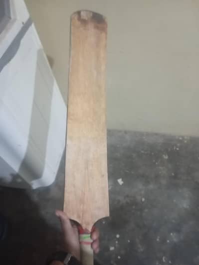 bat cornedo wait 750 gram