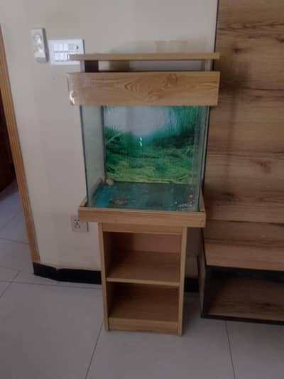 Fish Acquirium with Stones & Other Accessories