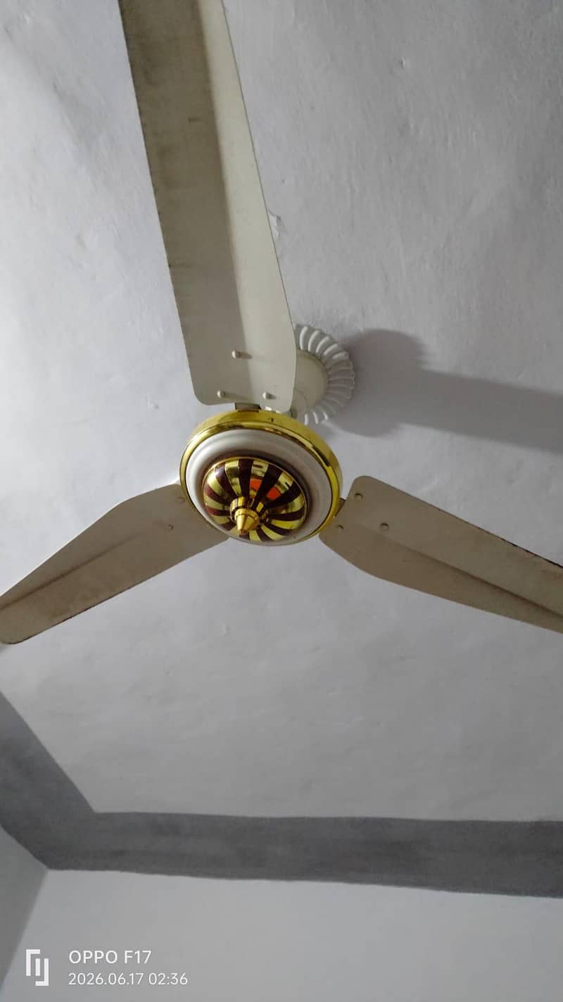 fans perfect 0