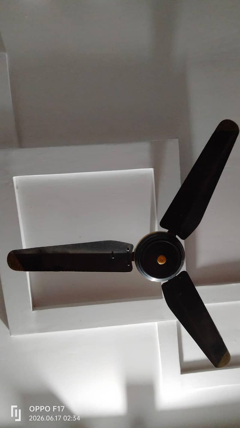 fans perfect 1