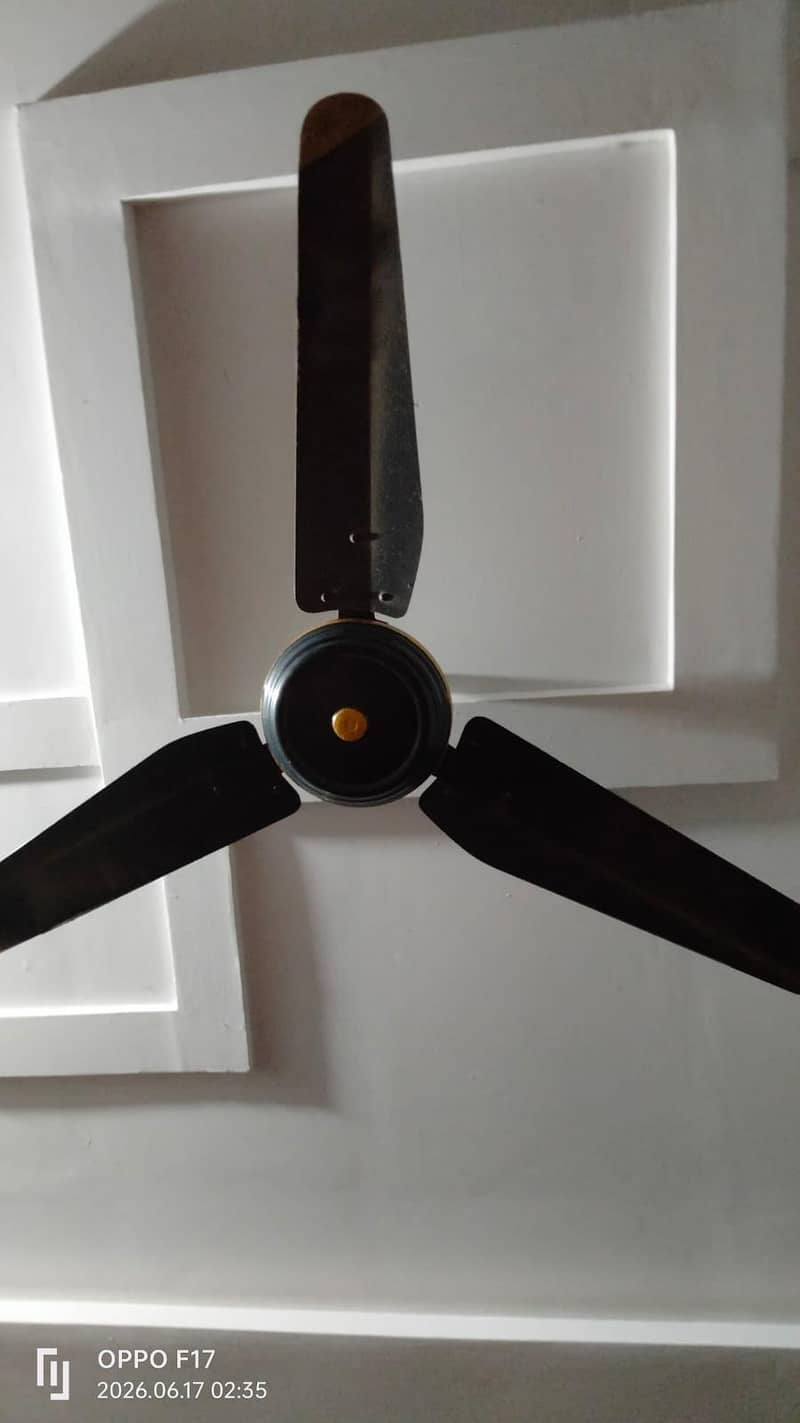 fans perfect 3