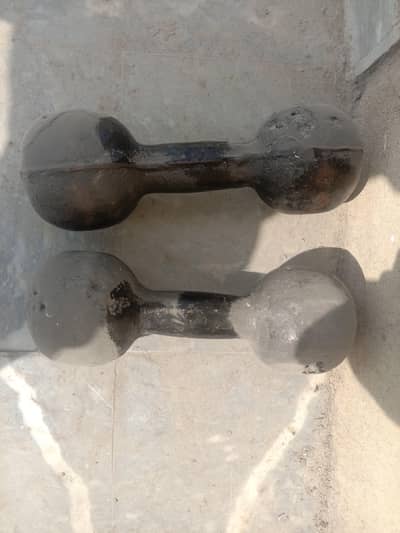 dumble and weight plates with rod