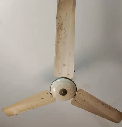 Urgent Sale PAK FAN FOR SALE