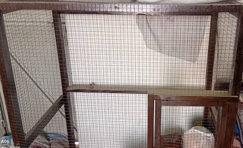 Parrot Cage