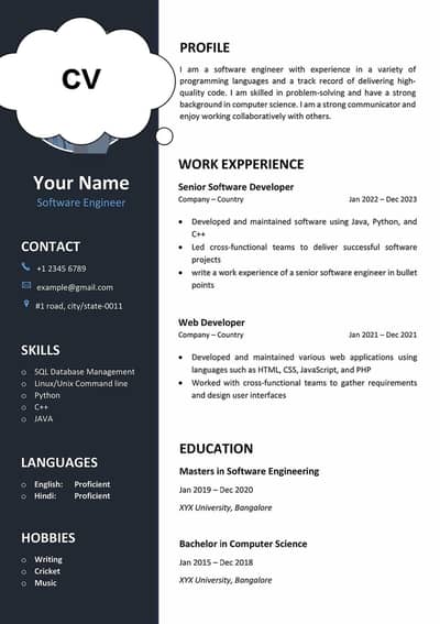 CV creations (Professional CV)