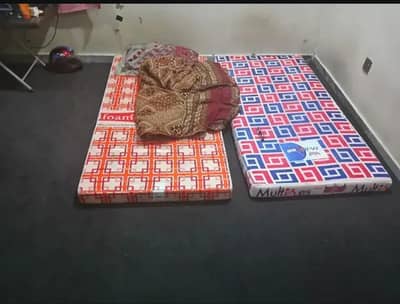 12 x 12 Carpet for Sale