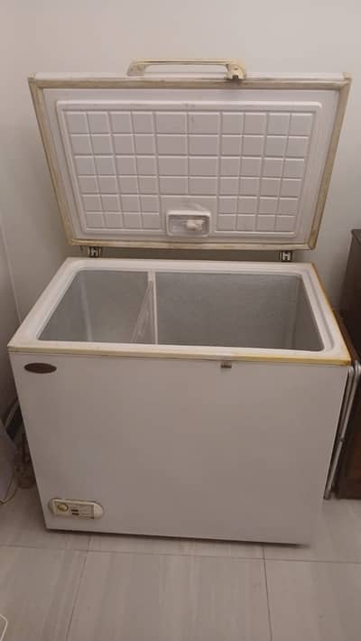 Waves deep freezer old model 12 cubic single door - faulty compresso