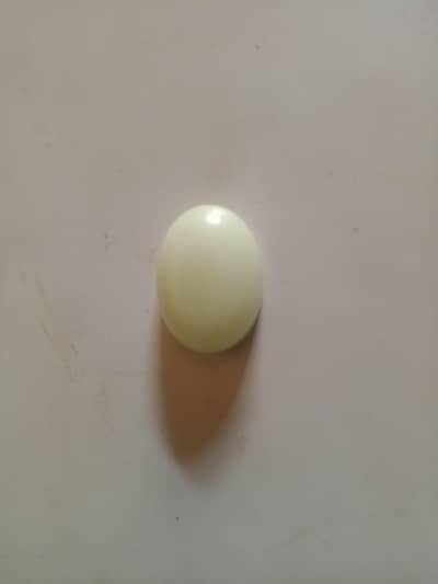 Magic Glow Stone Nag