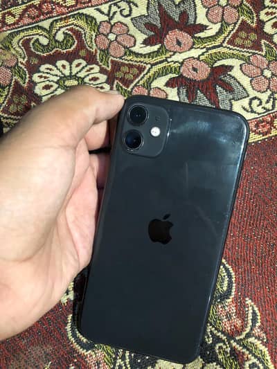 Apple iPhone 11 Water Pack