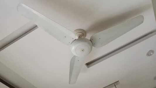 S. K Fan