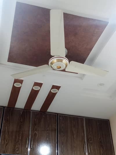 Ceiling fan sell