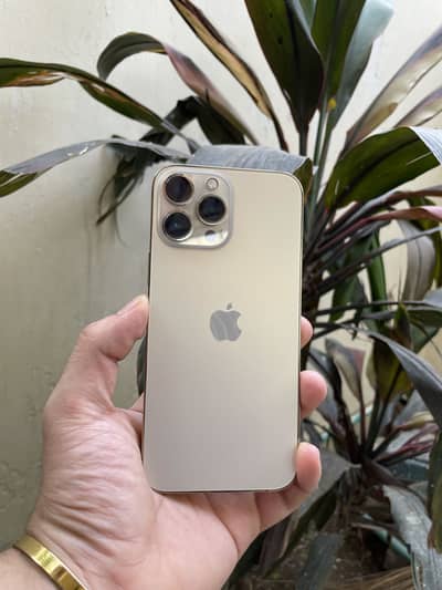 Apple iPhone 13 Pro Max