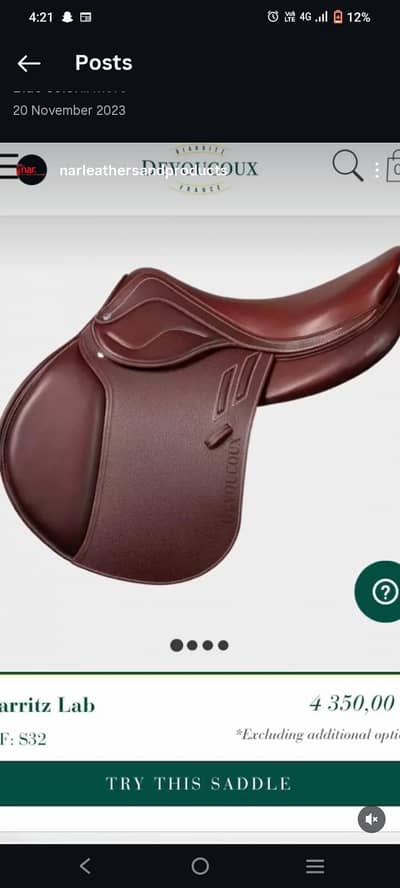 Horse Saddle