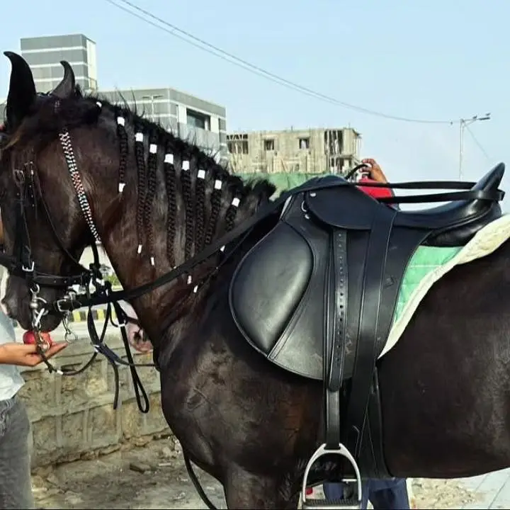 Horse Saddle — photo 10