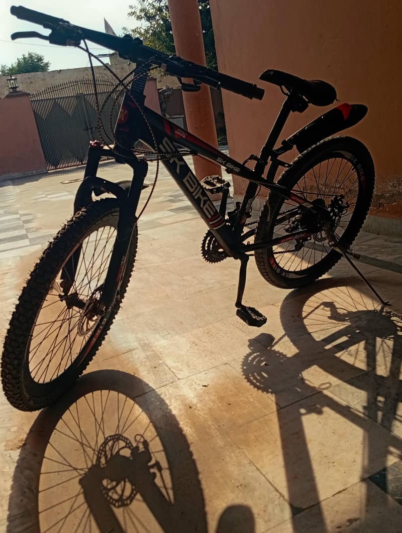 bicycle  0
