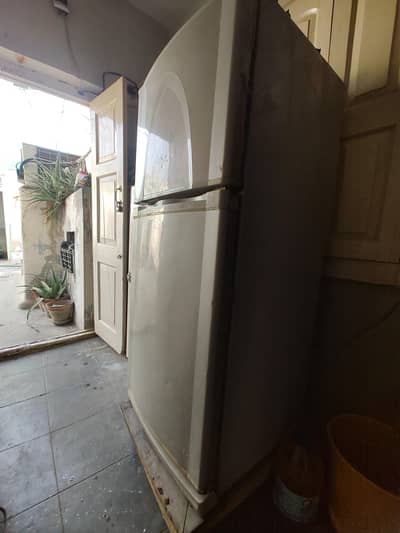 dowlenc refrigerator