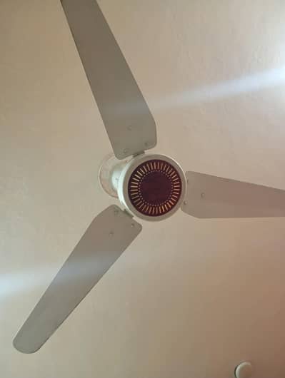 four star cooper fan