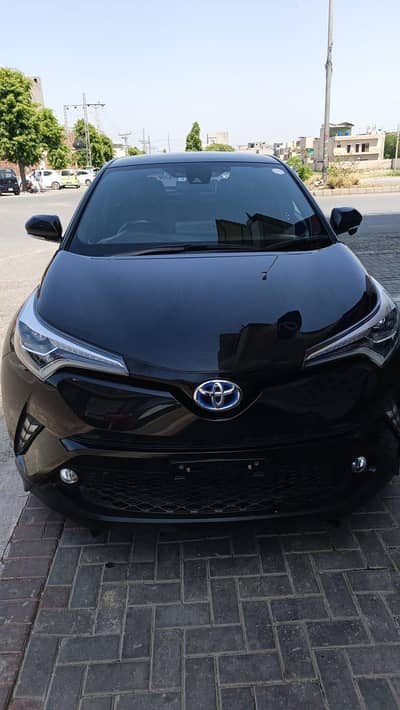contact for demand and information 03312617517