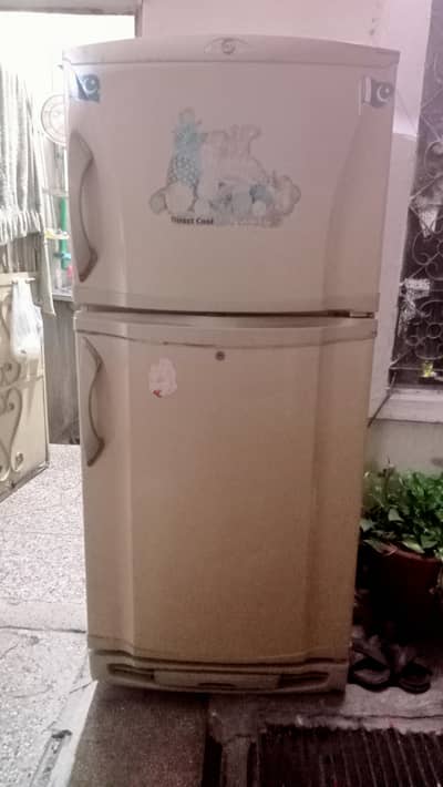 pel fridge medium size 03229776568