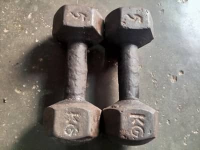 5kg dumbbells pure irons