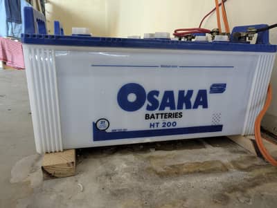 Osaka better