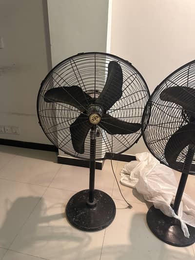 Pedestal Fans for sale