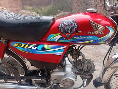 Cd 70 23/24 Model