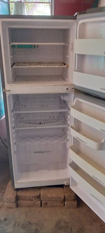 Orient fridge