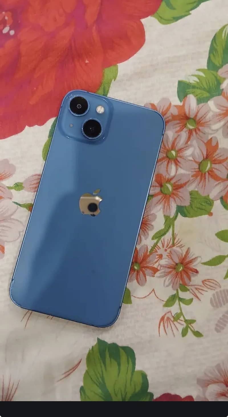 Apple iPhone 13 0