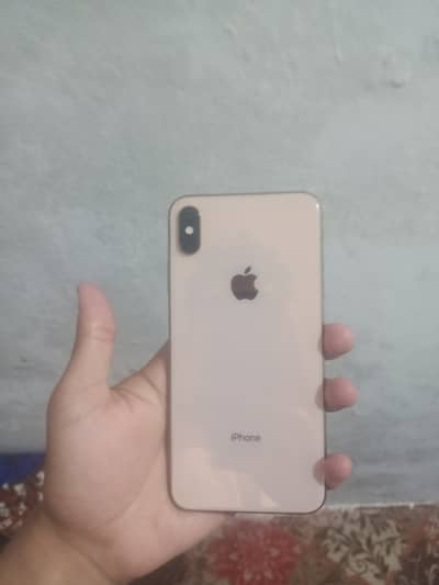 Apple iPhone Xas max