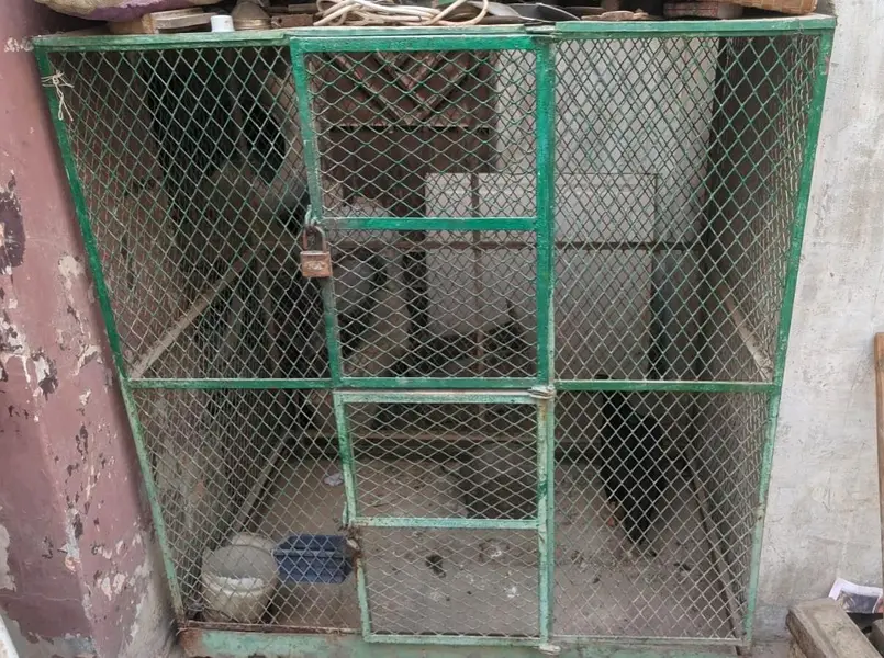 Cage for sale
