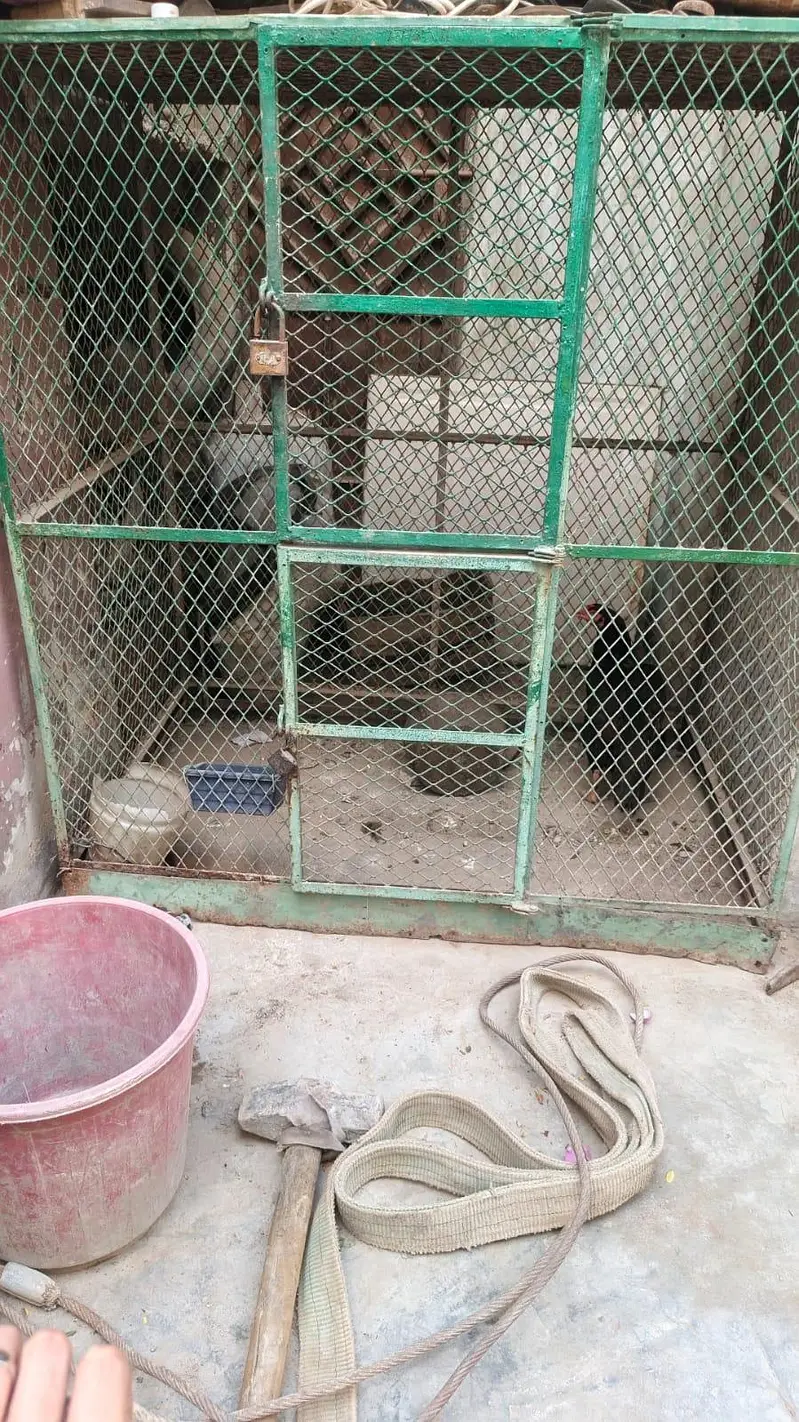 Cage for sale — photo 2