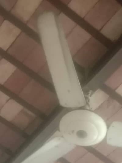 Ceiling Fan Sale 2