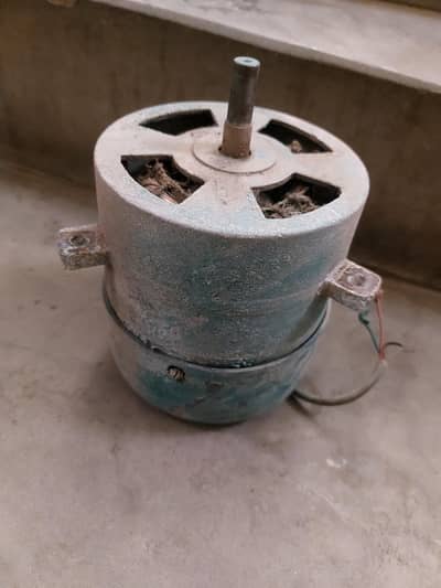 colur moter