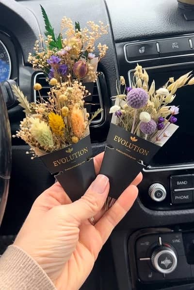 air freshener