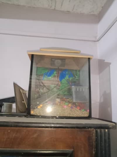 aquarium for fish