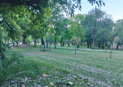 Investor Alert Prime F-8 Main Road Redevelopment Opportunity F-8 Islamabad | 1777 Square Yards | Main Road Location