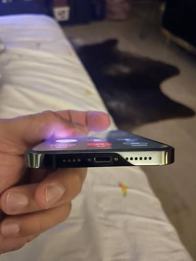 Apple iPhone 13 Pro Max PTA