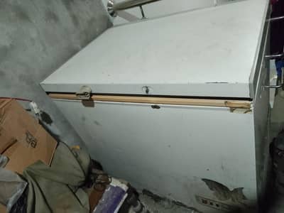 Single Door Deep freezer total Geniun Check krwa kr lye sakty