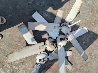 Ceiling Fans