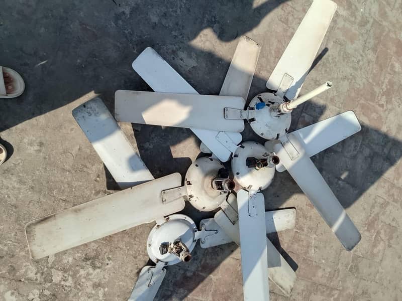 Ceiling Fans 0