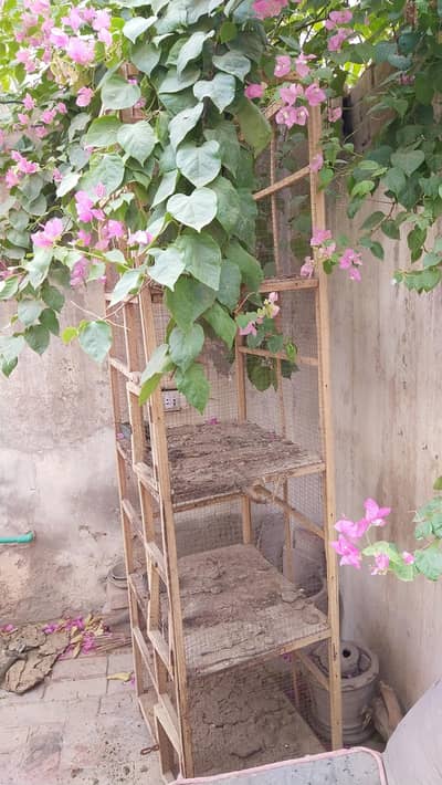 Multi Portion Wooden Cage For Sale