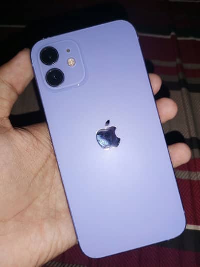 iPhone 12
