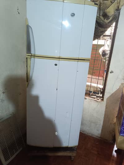 pel fridge all ok
