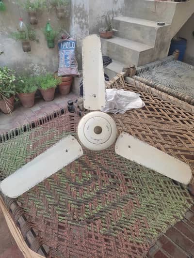 Ceiling Fan Medium Size 44" 220v (Noraml Condition) 99.9% Copper