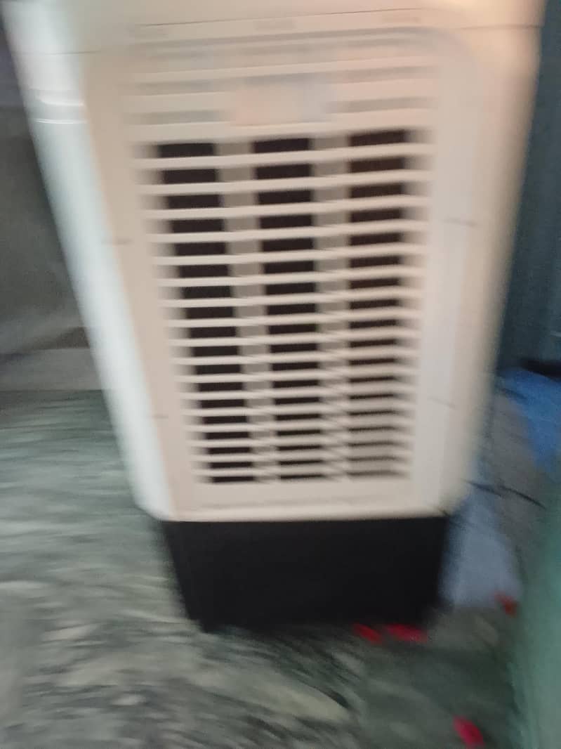 condition 10/10 3