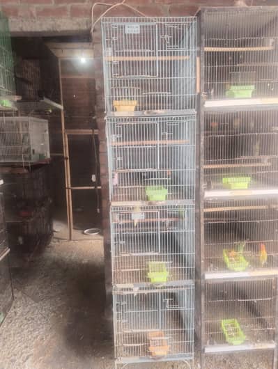 cages 4 sale
