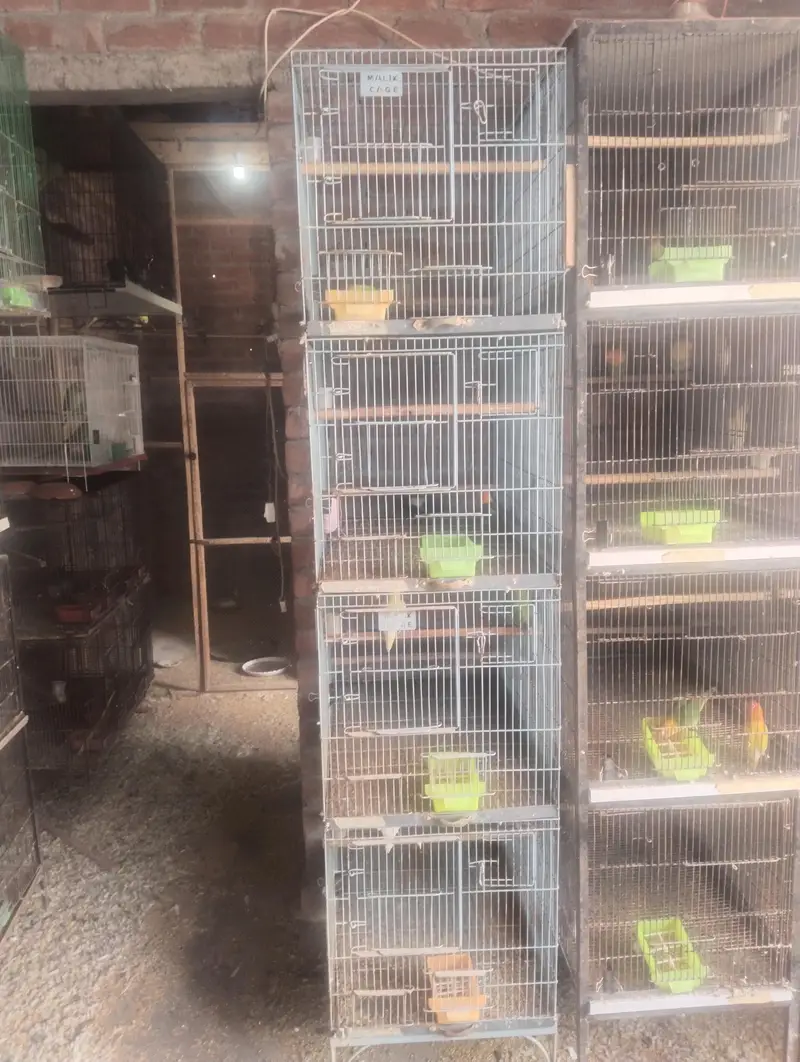 cages 4 sale